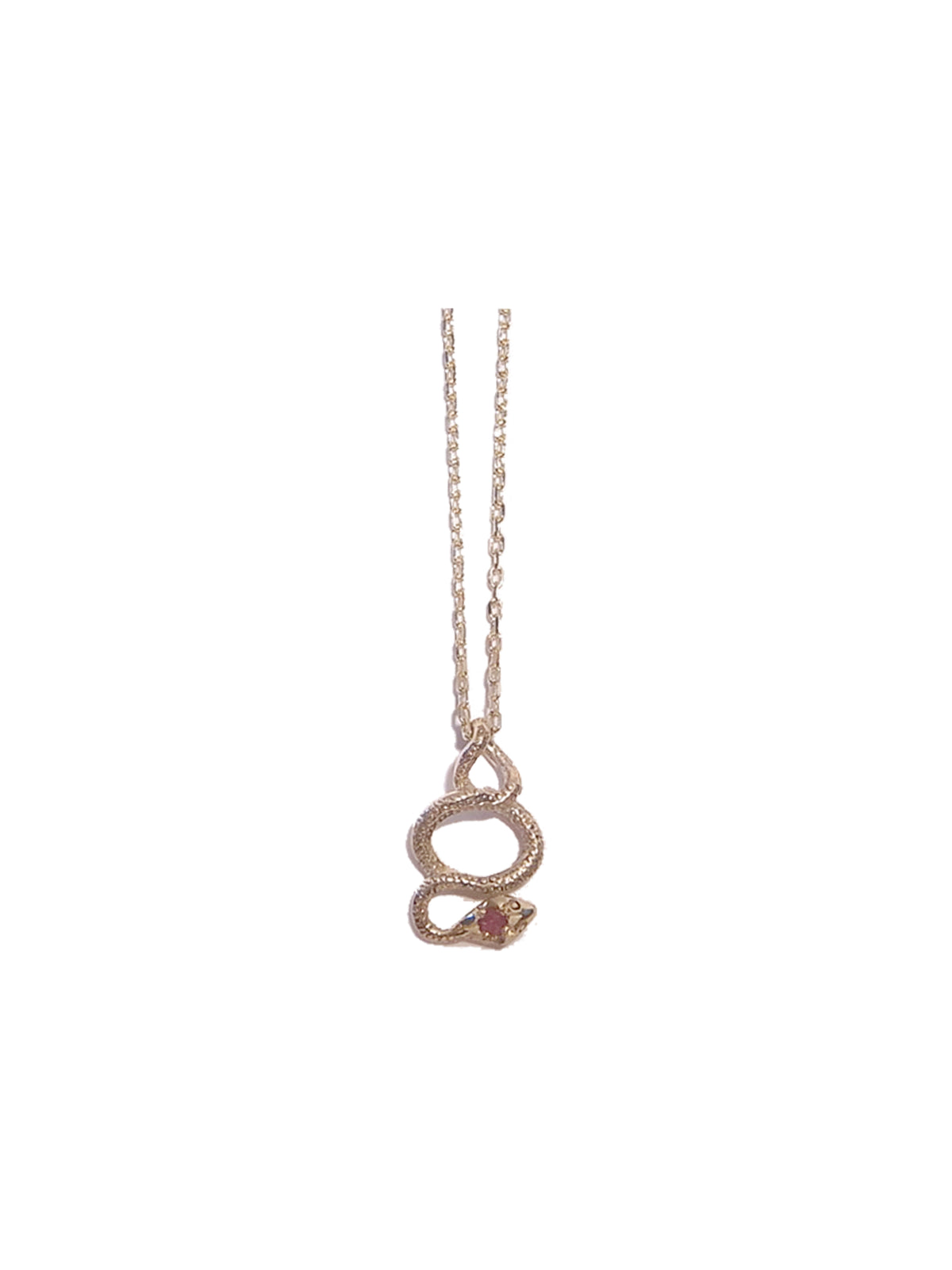 Snake Link Necklace