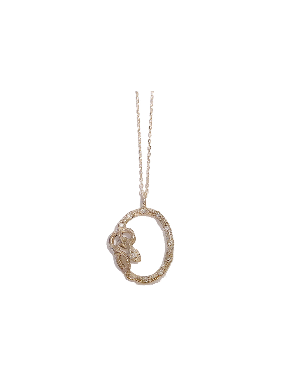 Snake Framed Amulet Necklace
