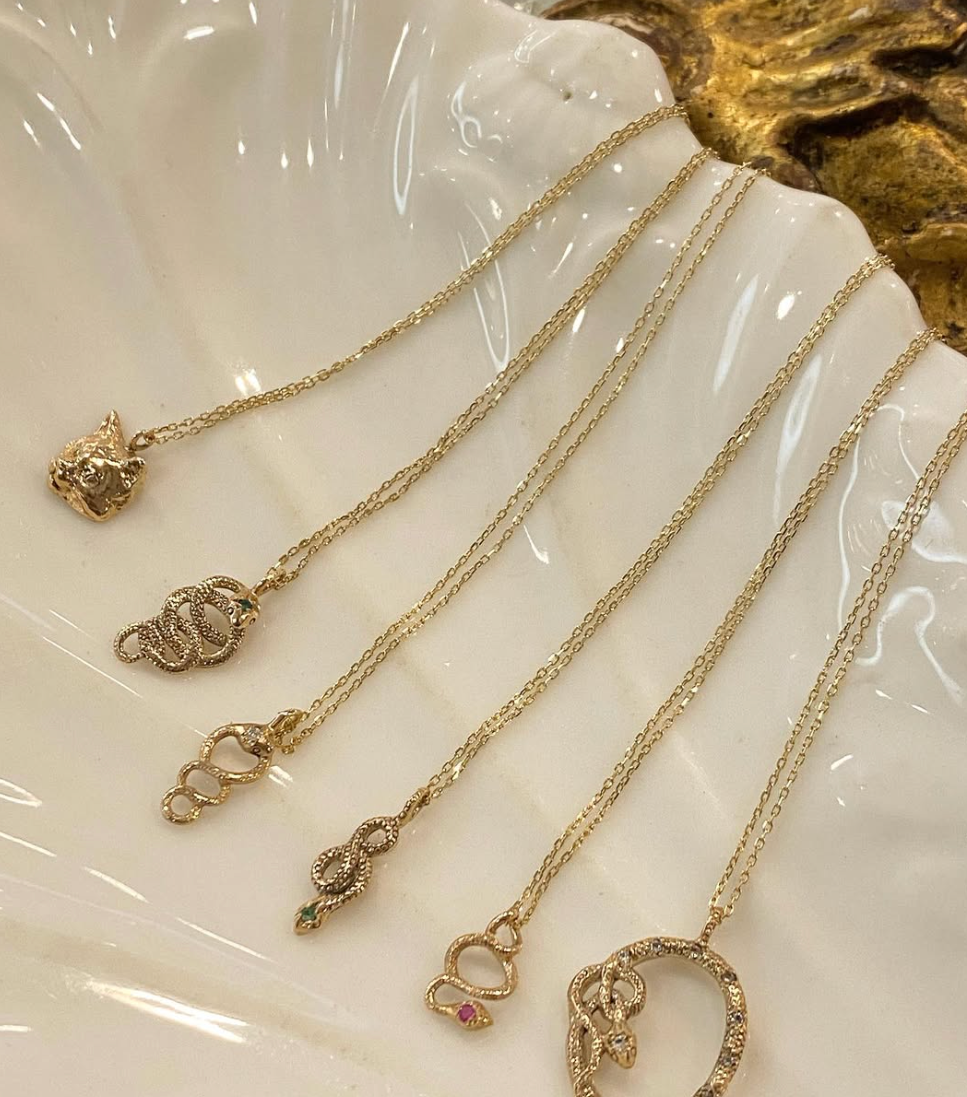 Snake Framed Amulet Necklace