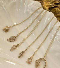 Snake Framed Amulet Necklace