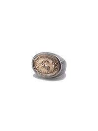 Coin Ring -stole your heart