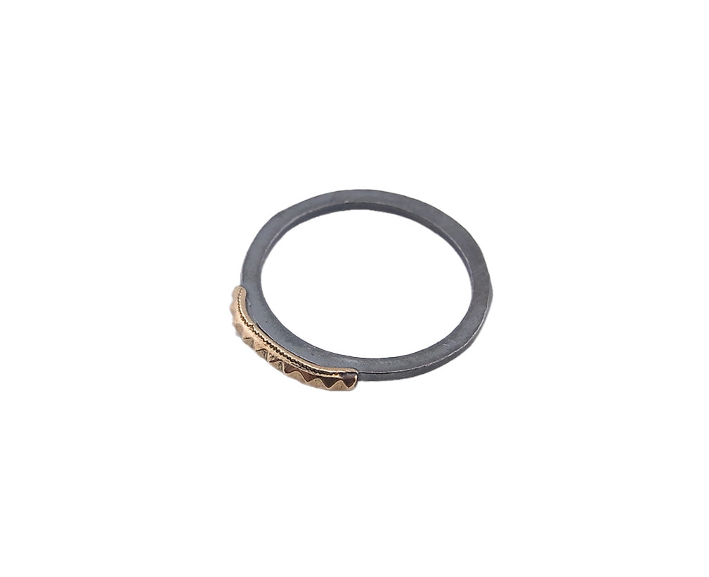 250A-SCR1