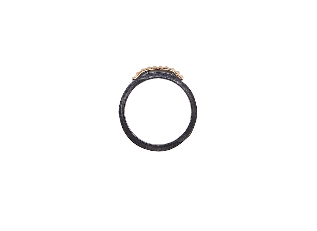 250A-SCR1