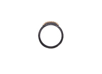 250A-SCR1
