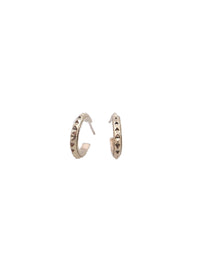 studded earrings