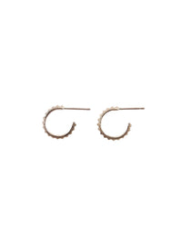 studded earrings