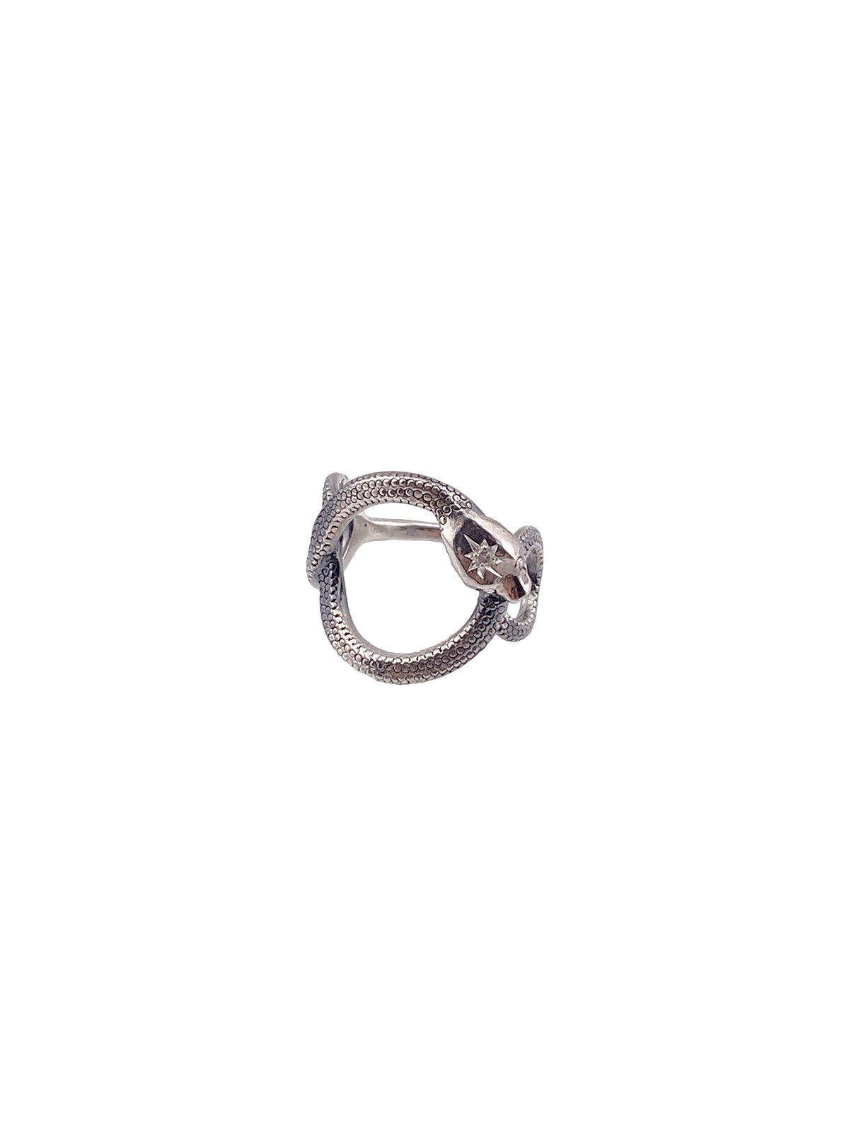 Rusty Rings Ouroboros Halo Ring – Rusty Thought