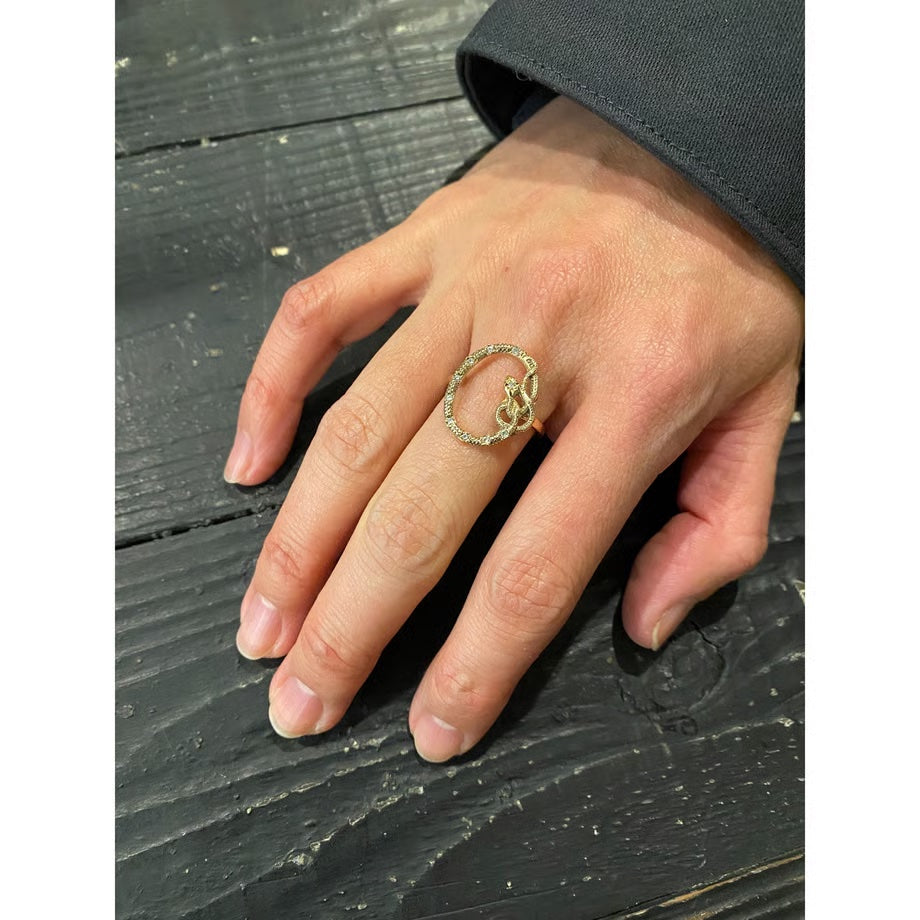 Snake Framed Amulet Ring