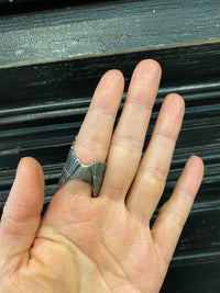 WING SLIT RING