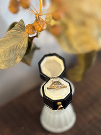 Agata Ring